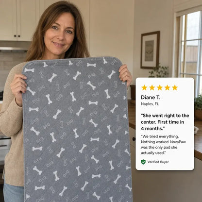 🔥Put This Down And Watch Your Dog Find The Spot On Their Own🐶