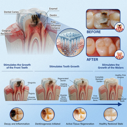Ceoerty® Tooth & Gum Repair Fast-Dissolving Microneedle Patch✨ (𝟓-𝐢𝐧-𝟏 💎 𝐑𝐞𝐛𝐮𝐢𝐥𝐝 𝐄𝐧𝐚𝐦𝐞𝐥 & 𝐃𝐞𝐧𝐭𝐢𝐧 • 𝐒𝐭𝐫𝐞𝐧𝐠𝐭𝐡𝐞𝐧 𝐆𝐮𝐦𝐬 • 𝐄𝐫𝐚𝐝𝐢𝐜𝐚𝐭𝐞 𝐓𝐚𝐫𝐭𝐚𝐫 & 𝐎𝐝𝐨𝐫 • 𝐖𝐡𝐢𝐭𝐞𝐧𝐢𝐧𝐠 • 𝐒𝐭𝐨𝐩 𝐓𝐨𝐨𝐭𝐡 𝐒𝐞𝐧𝐬𝐢𝐭𝐢𝐯𝐢𝐭𝐲)